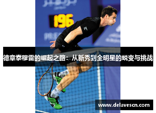 德章泰穆雷的崛起之路：从新秀到全明星的蜕变与挑战