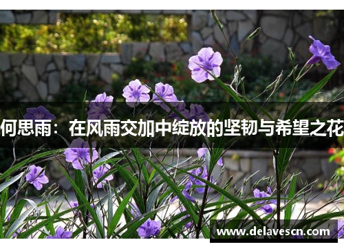 何思雨：在风雨交加中绽放的坚韧与希望之花